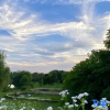 Отель Yijingwan Resort, фото 8