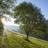 Отель Landgasthof zum Sorpetal, фото 33