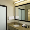 Отель Sheraton Suites Orlando Airport, фото 15