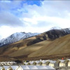 Отель Royal Camp - Pangong, фото 15