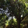 Отель Villas Los Ángeles, фото 3