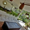 Отель Playa Encantada Beach Residence, фото 11
