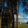Отель Luxury Two-bed Glamping Pod in County Clare 2, фото 14