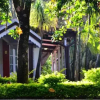 Отель Marsh Villa Luxury Resort, фото 8