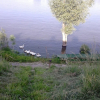 Отель Apartment With 2 Bedrooms in Batina, With Furnished Terrace - 20 m Fro, фото 16