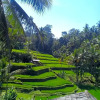 Отель Rumah Irak et Kadek Bali, фото 6