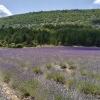 Отель Maison de village provençale, terrasse panoramique, Mont Ventoux, фото 16