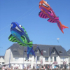 Отель Les Chants d'Ailes - Hôtel Face Mer, фото 19