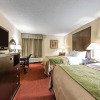 Отель Quality Inn & Suites, фото 15