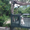 Отель Yangsan Cozy Pension, фото 7