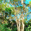Отель Casa Baiuxi, фото 5