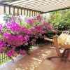 Отель La Rosa Dei Venti - Four Bedroom, фото 5