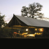 Отель Honeyguide Tented Safari Camps - Mantobeni, фото 1