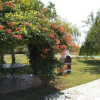 Отель Villa Leonardo, фото 24