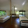 Отель Ferntree Rainforest Lodge, фото 10