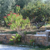 Отель Kassandra Garden Residence, фото 30