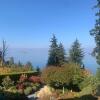Отель Ocean side & garden view Nanaimo house, фото 17