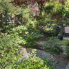 Отель Seattle Vacation Home: Wall St., фото 18