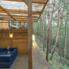 Отель Star Forest, фото 31