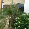 Отель Curacao Suites Hotel, фото 18
