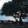 Отель RedDoorz Premium near Anoi Itam Beach Sabang, фото 21