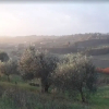Отель Il Colle Toscano, фото 6