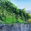 Отель La Casa tra le Vigne, фото 21