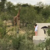 Отель Lengau Lodge, фото 22