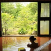 Отель Tengu Onsen Asama Sanso, фото 13