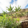 Отель Nice Apartment With Fantastic Views of the Coastline of Tenerife, фото 20