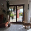 Отель Willa Garden 2 Z Pieknym Ogrodem I Tarasem, фото 10