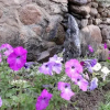Отель The Upcycled Hostel Ollantaytambo, фото 5