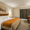 Отель Comfort Inn On the River - Cherokee, фото 15