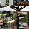 Отель Restaurant Simplon, фото 16