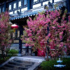 Отель Wenying Hotel, фото 12