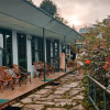 Отель Himalayan High, Auli, By Himalayan Eco Lodges, фото 1