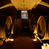 Отель Agriturismo Antico Borgo Poggitazzi, фото 17