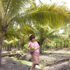 Отель Phorkubmae Homestay, фото 12