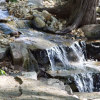 Отель Crystal Cove Bed and Breakfast, фото 16