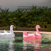 Отель Rydges Southbank Townsville, фото 23