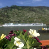 Отель Rheinhotel Lilie, фото 16