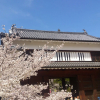 Отель Azumaya Kogen Hotel, фото 1
