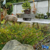 Отель Wenchuan Qingxin Youshe Homestay, фото 7