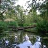 Отель bluming inn - Ferienwohnung im Spreewald, фото 5