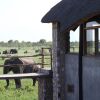 Отель Gwango Elephant Lodge, фото 3