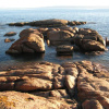 Отель Pebble Shack, фото 7