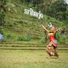 Отель Homestay Mbah Pomo Sriharjo, фото 11