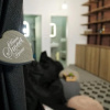 Отель Aroma Apartments, фото 2