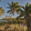 Отель Mala Island Resort, фото 11