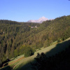 Отель Gladerhof, фото 10